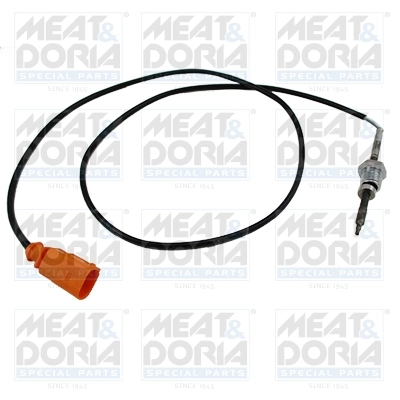 Sensor, exhaust gas temperature